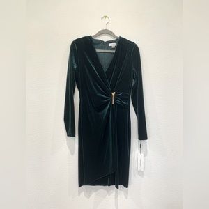 Calvin Klein Long Sleeve Velvet Dress. NWT